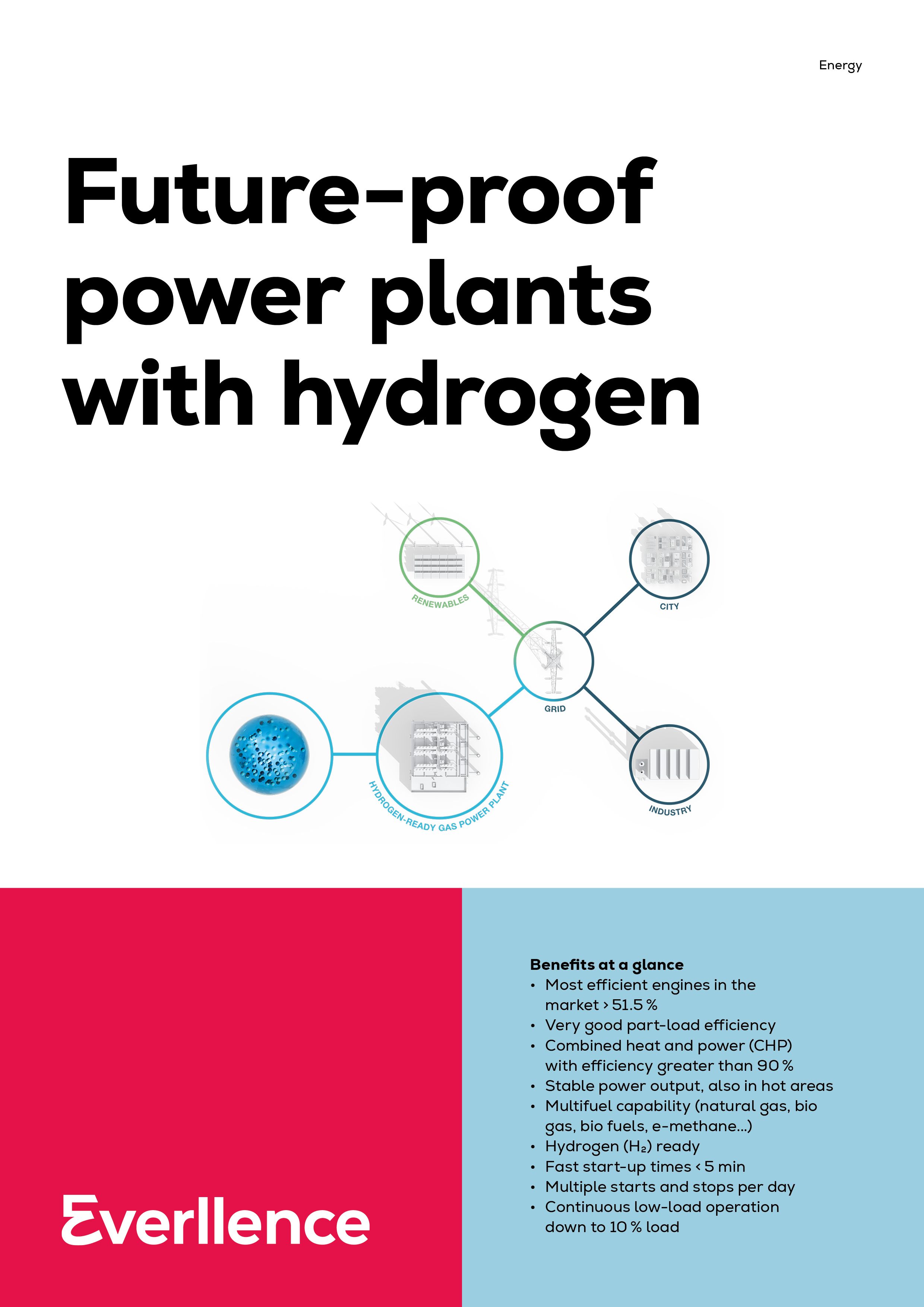 FPPP_HYDROGEN_COVER