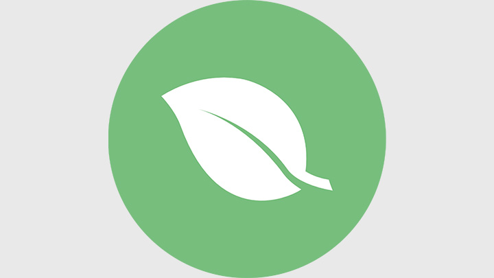 Icon with a leaf