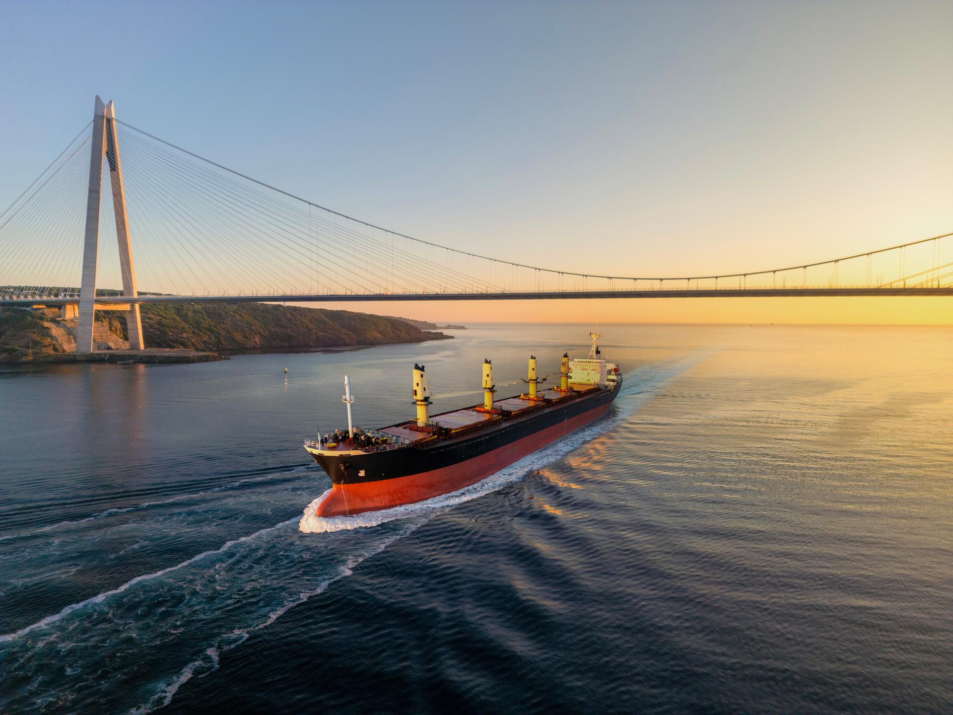 Istanbul Bosphorus Bridge