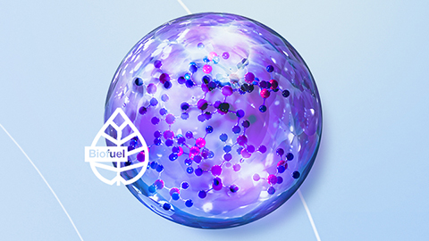 biofuel sphere