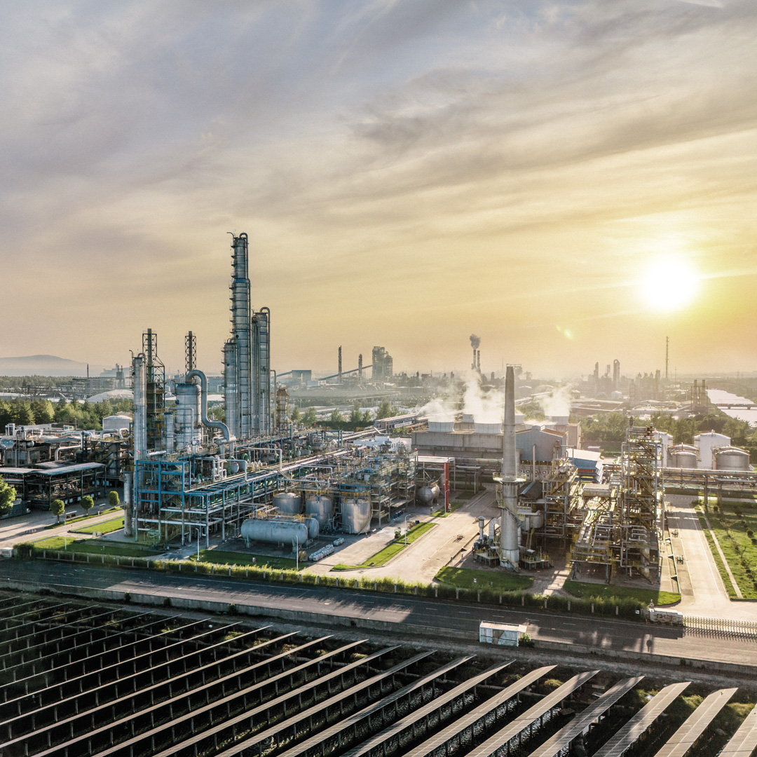 Process industry plant