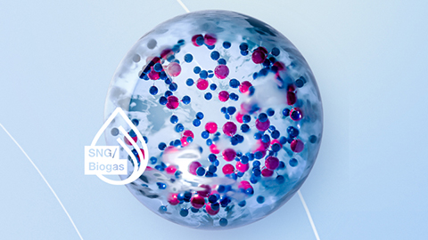 sng biogas sphere