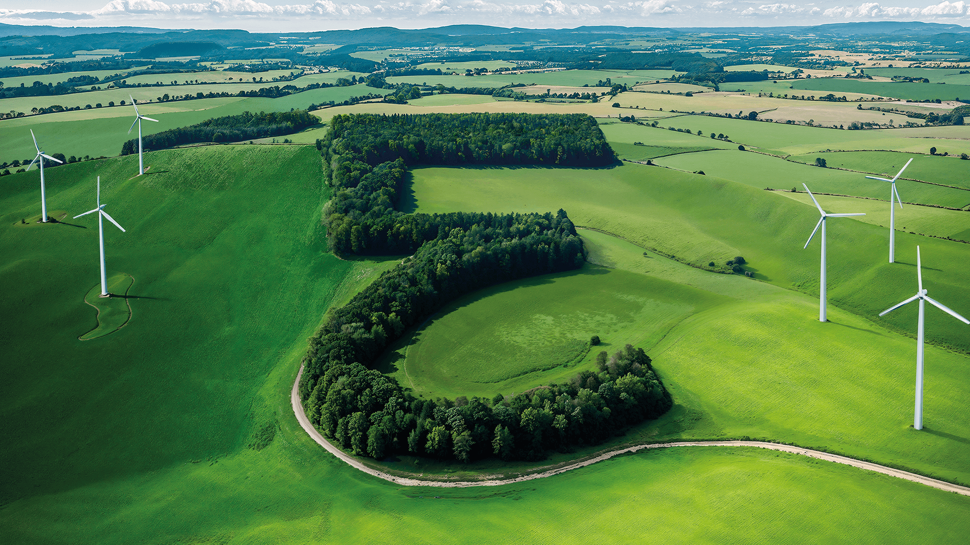 Everllence Supersign als Wald auf einem Hügel neben Windrädern